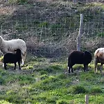Εξοχικό σπίτι Quinta Das Colmeias *