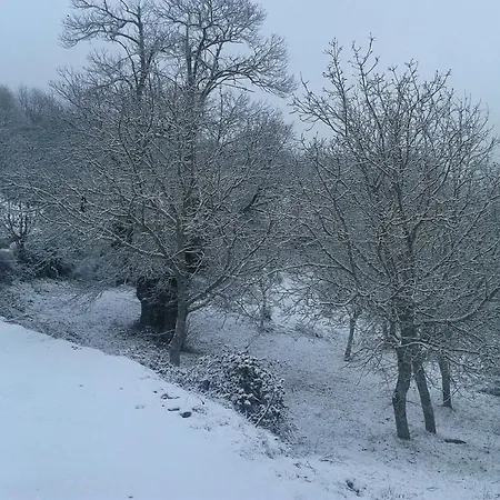 Séjour à la campagne Quinta Colmeias Lancao