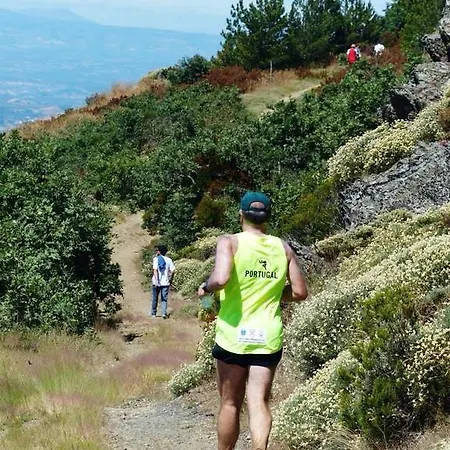 Quinta Colmeias Lancao