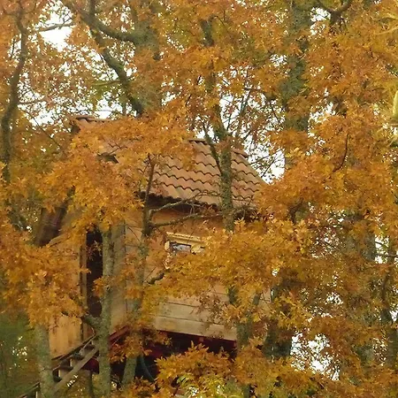 Quinta Colmeias Landhuis Lancao