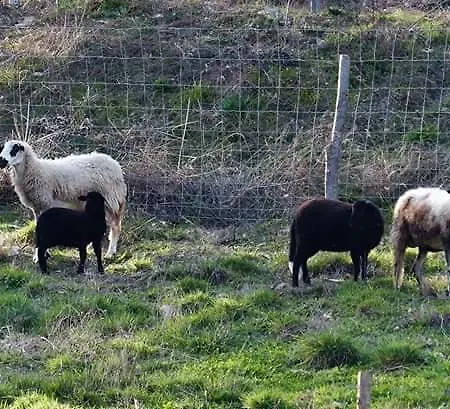 Séjour à la campagne Quinta Colmeias *