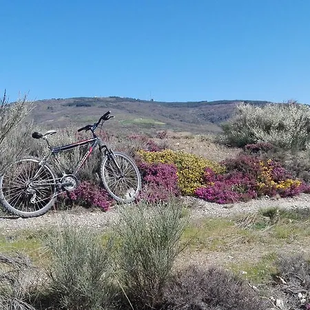 Séjour à la campagne Quinta Colmeias *