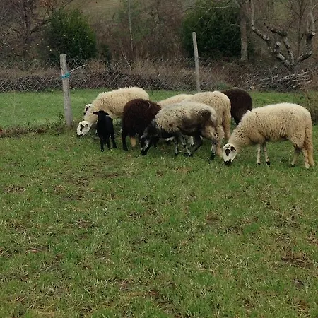 Séjour à la campagne Quinta Colmeias *