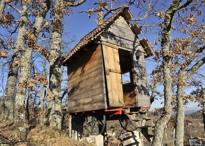 컨트리하우스 Quinta Colmeias *