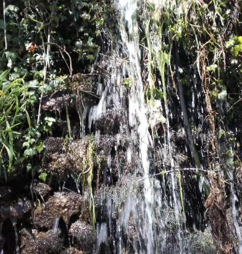 Landhuis Quinta Colmeias