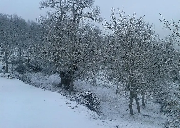 בית כפרי Quinta Colmeias Lancao