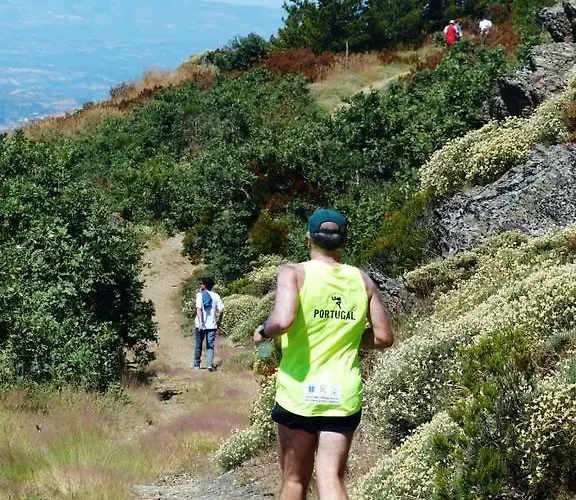 Quinta Colmeias Lancao