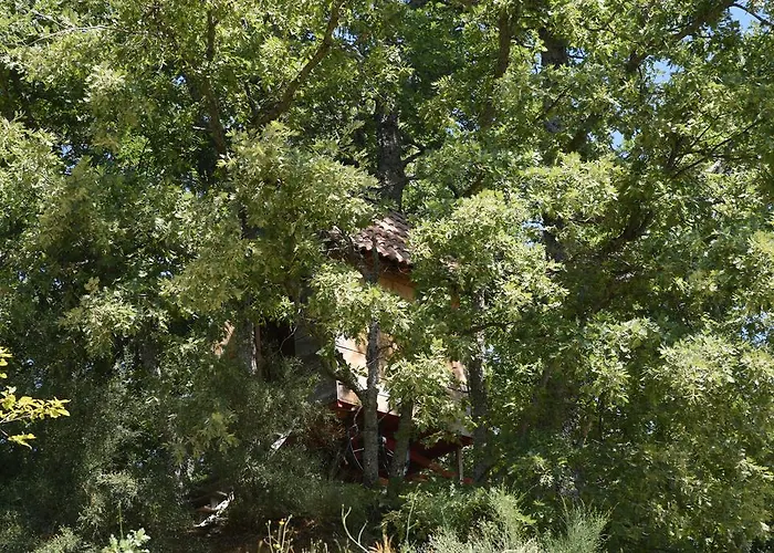 Landhuis Quinta Colmeias