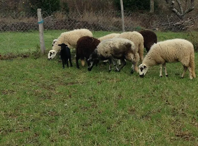 Landhuis Quinta Colmeias *